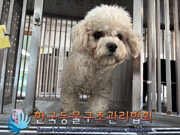 한국동물구조관리협회_411301202400450